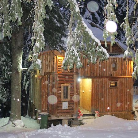 Pinetrees Lodge Plav Exteriér fotografie