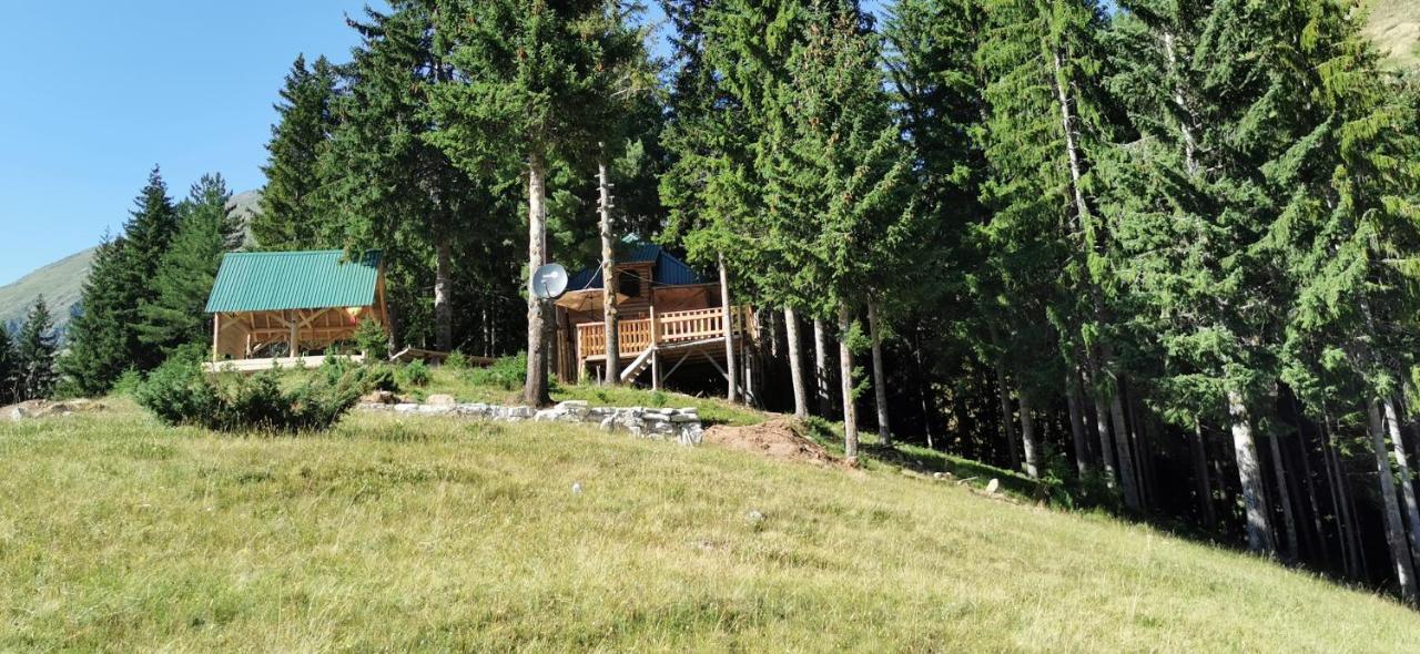 Pinetrees Lodge Plav Exteriér fotografie