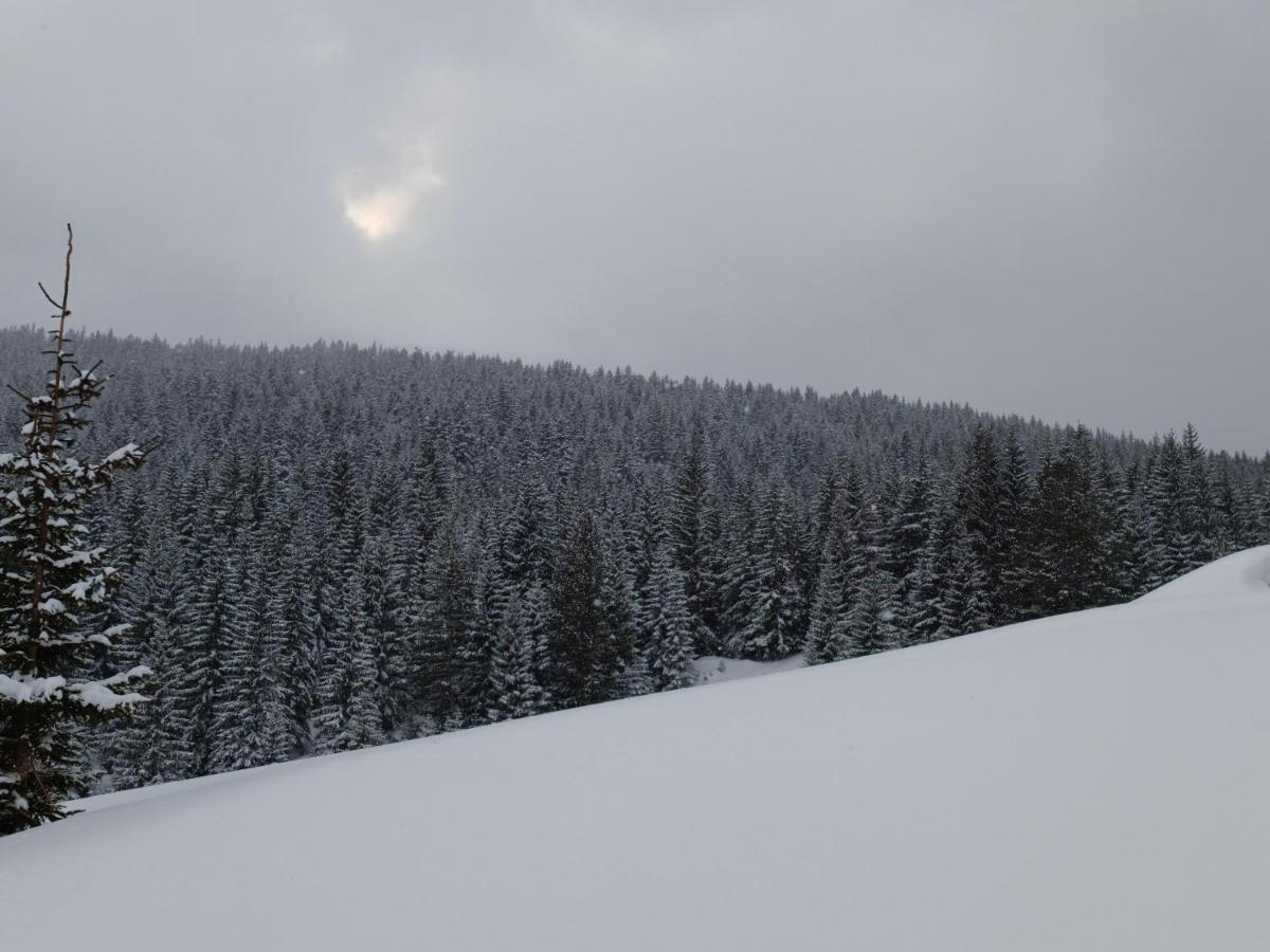 Pinetrees Lodge Plav Exteriér fotografie