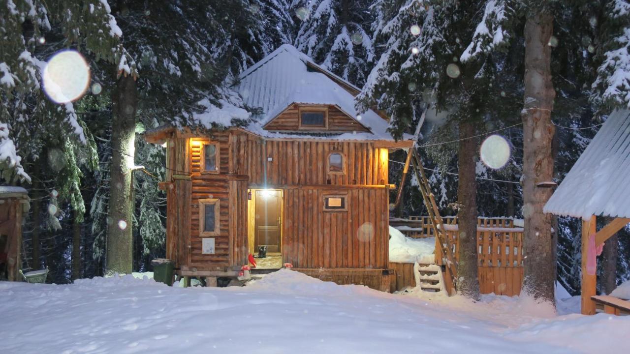 Pinetrees Lodge Plav Exteriér fotografie