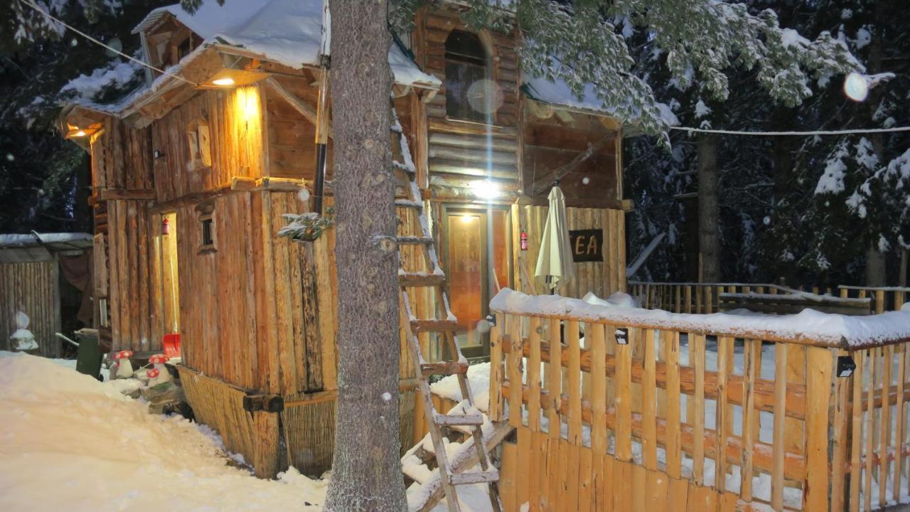 Pinetrees Lodge Plav Exteriér fotografie