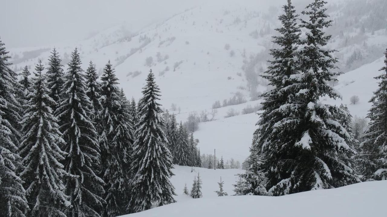 Pinetrees Lodge Plav Exteriér fotografie